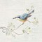 Nuthatch Vintage Poster Print by Danhui Nai - Item # VARPDX28601